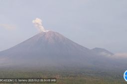 Semeru alami enam kali erupsi dengan tinggi letusan hingga 700 meter