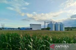Investor Turki lirik bangun gudang penyimpanan jagung dan gabah di NTB