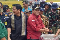 Kabupaten Banyuasin sediakan data mutakhir perkuat Satu Data Indonesia