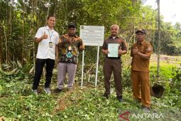 KPP Pratama Manokwari sita aset tanah atas tunggakan pajak Rp2 miliar