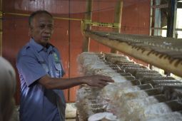 Universitas Hasanuddin budidaya jamur tiram di Kampung Rimba