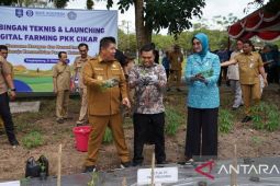 BI Babel dorong petani Babel go digital untuk jaga inflasi