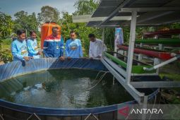 Dari hulu ke hilir, Kilang Pertamina Plaju bangun kawasan ekosistem terintegrasi dan berdikari di Banyuasin