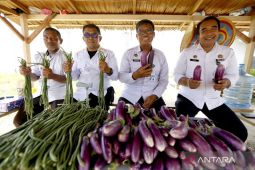 Lapas Gorontalo jalankan pembinaan kemandirian WBP bidang pertanian