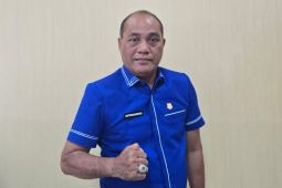 Anggota DPRD soroti semrawutnya pemasangan kabel di Kapuas