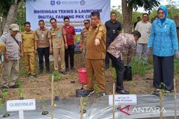 Babel sediakan bantuan 200 ribu bibit cabai