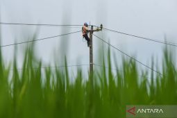 Govt expands rural energy access with community programs