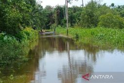 BPBD: 1.003 jiwa warga di Aceh Barat terdampak banjir
