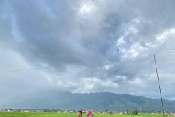 Mengenal Sekungkung: desa di kaki Gunung Kerinci yang jadi Diengnya Sumatra