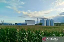 Gudang Jagung, Harapan baru di Bumi Seribu Masjid