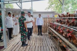 KSP RI dorong replikasi Kampung Pandu Sakti untuk swasembada pangan
