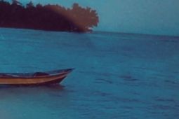 BPBD Supiori membentuk distrik tangguh untuk kesiapsiagaan bencana