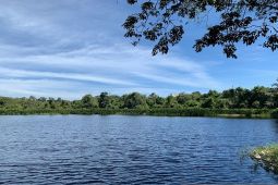 Hobi mancing di Bengkulu, ini 7 spot gacor ikan sungai, muara hingga laut