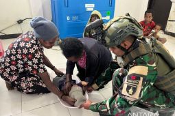 Satgas TNI Yonif 511-Dinkes Lanny Jaya melaksanakan Posyandu di Malagaineri