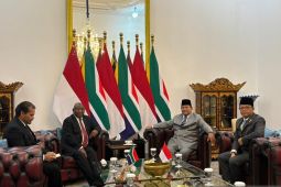 Prabowo terima kunjungan Presiden Ramaphosa di Istana