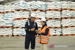Pupuk Indonesia perkuat peran dukung swasembada pangan era Prabowo-Gibran