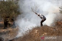 Palestina tuding Israel telah hancurkan 90 persen aset pertanian di Jalur Gaza