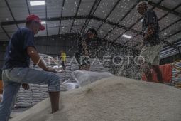 Bulog perkuat ketahanan pangan nasional