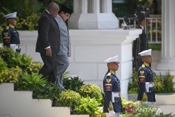 Presiden RI dan Afsel bahas penyelesaian konflik Gaza