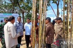 Pemerintah percepat bongkar ratoon tebu