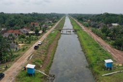 Saluran irigasi gantung bikin petani di Tulangbawang dan Mesuji semringah