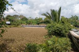 Satgas Pangan  : Kolaborasi lintas instansi jaga harga beras di Sulsel