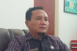 Lombok Timur kembangkan budi daya porang lewat bantuan bibit