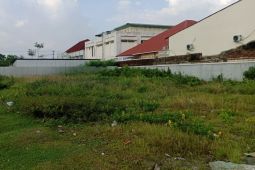 Harga pupuk bersubsidi di Lombok Tengah turun