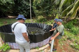 Budidaya ikan air tawar: Alternatif nelayan Pelapis menyiasati musim paceklik