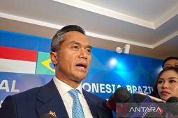 Kadin: Indonesia dan Brazil bisa jadi "superpower" transisi energi
