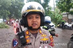 Hujan Deras & Angin Kencang, Jalur Utama Cianjur Kembali Normal!