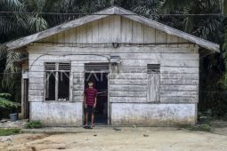 Angka putus sekolah anak Trans Sosial Suku Batin Sembilan