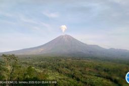 Semeru alami dua kali erupsi disertai letusan setinggi 700 meter