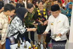 Gubernur Kalteng: Borneo Decafest gabungkan semangat lestarikan budaya dan transformasi digital