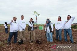 PT SAS dan group rehabilitasi hutan gambut seluas dua ribu hektar