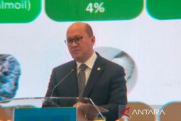 Danantara terbuka untuk investasi daripengusaha dan investor Brazil
