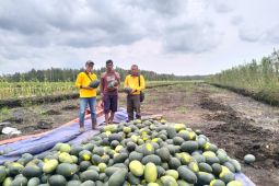 PT Bumi Andalas Permai dorong petani di OKI kelola lahan ramah lingkungan