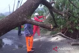 Petugas gabungan disiagakan di jalur Mande-Cianjur antisipasi bencana alam