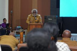 Pemprov Papua Selatan meluncurkan kredit perumahan dan KUR 800 ribu debitur