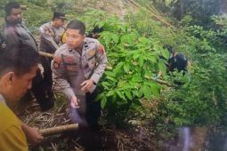 Polisi selidiki kasus penemuan bayi terpotong tiga