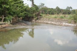 PT Vale pastikan kualitas air di Towuti aman dan pemulihan terus berjalan