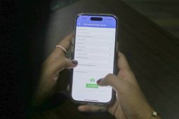 Tangerang sediakan kanal permintaan bibit pohon gratis