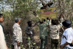 BTNT: Peneliti asing ilegal di Tambora publikasikan hasil riset secara bebas