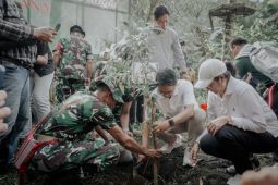 Pemkab Badung tanam 4.400 bibit pohon dukung Gerakan Semesta Berencana