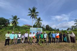 Tanam 1.000 pohon, UIN Syahada Padangsidimpuan pelopori Gerakan Ekoteologi Nasional