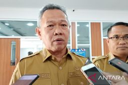 Bupati-Sigi sambut positif pembangunan lima PLTA akan naikkan PAD