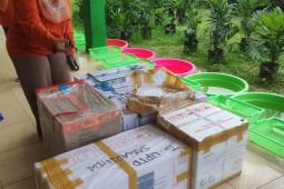 Ketahanan sawit Kaltim dari benih lokal