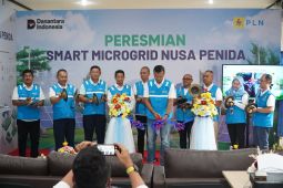 PLN: Smart Microgrid di Nusa Penida tranformasi energi cerdas