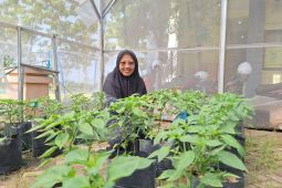 Akademisi minta pemdes dan poktan ikut awasi distribusi pupuk subsidi