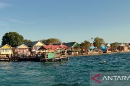 Penggunaan energi hijau ubah wajah Pulau Saugi di Pangkep